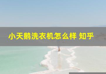 小天鹅洗衣机怎么样 知乎